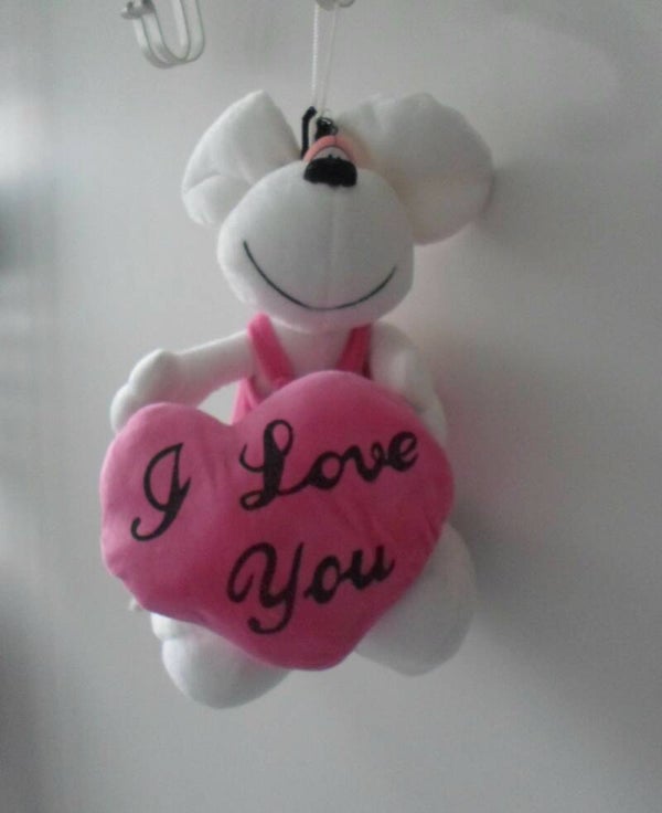 Diddle Hart Roze