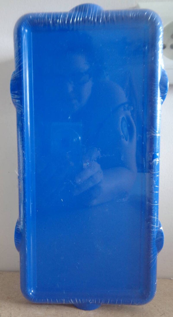 Diepvriesdoos - Vershoudbakje 1L Blauw