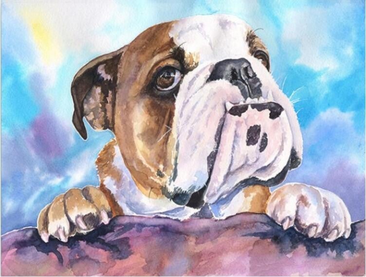 Diamond Painting - Ronde Steentjes - Hond Engelse Bulldog - 50 x 40 Cm