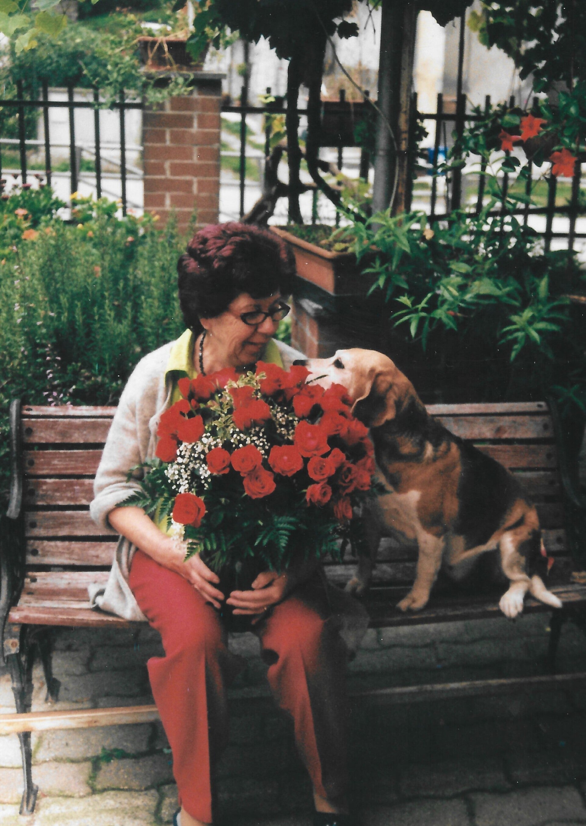 La Provvidenza Onoranze Funebri - Necrologio Online