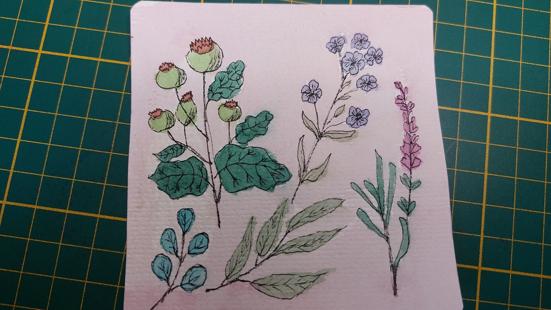 Carte originale à l'aquarelle – Collection "Herbier & Fleurs Sauvages" fait main