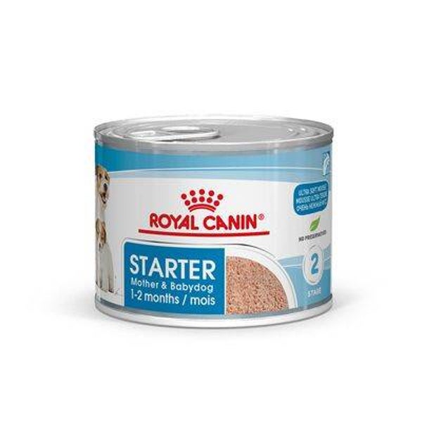 Royal Canin Starter Mousse 12x195g