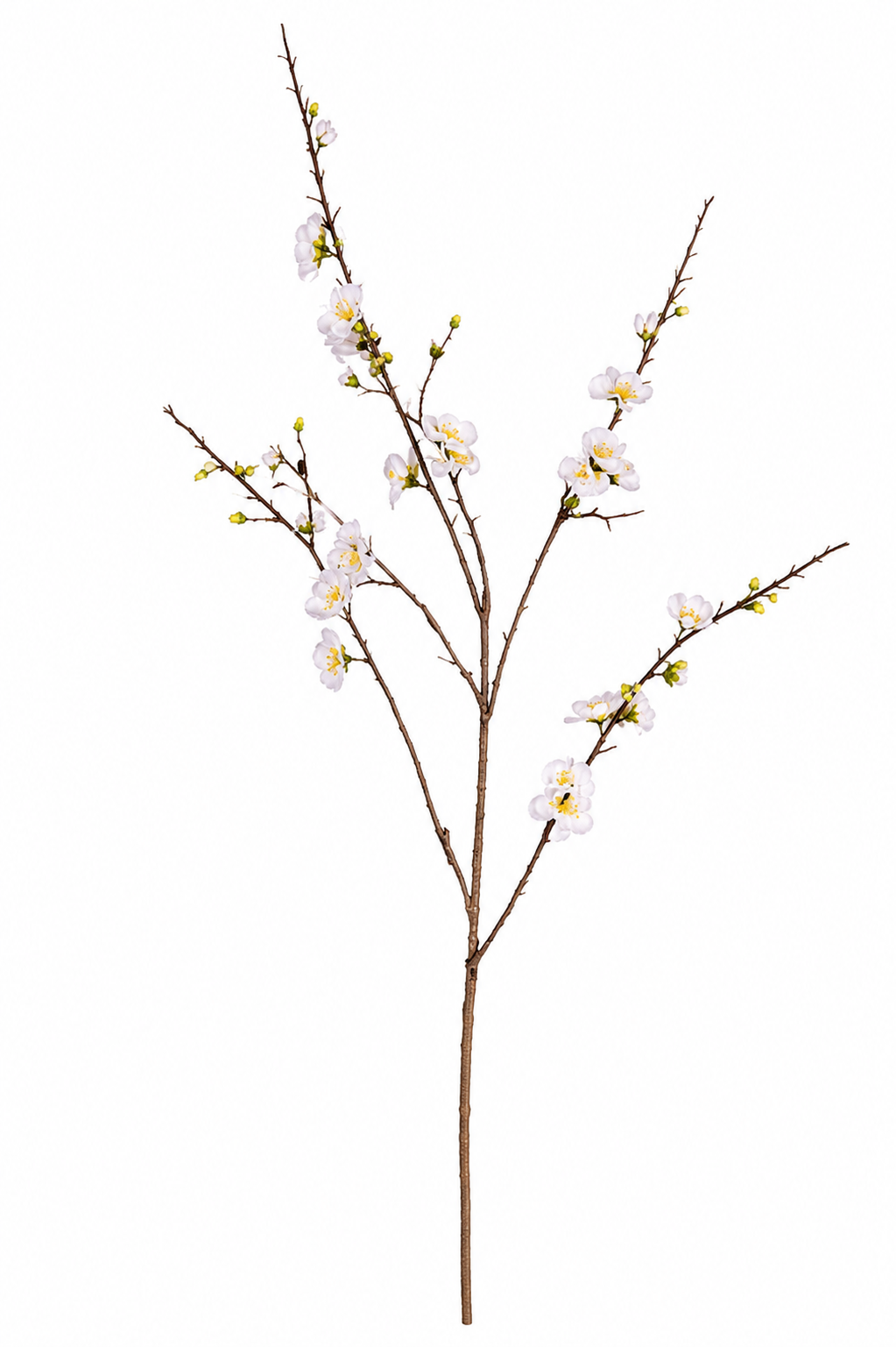Kunst lente bloesem