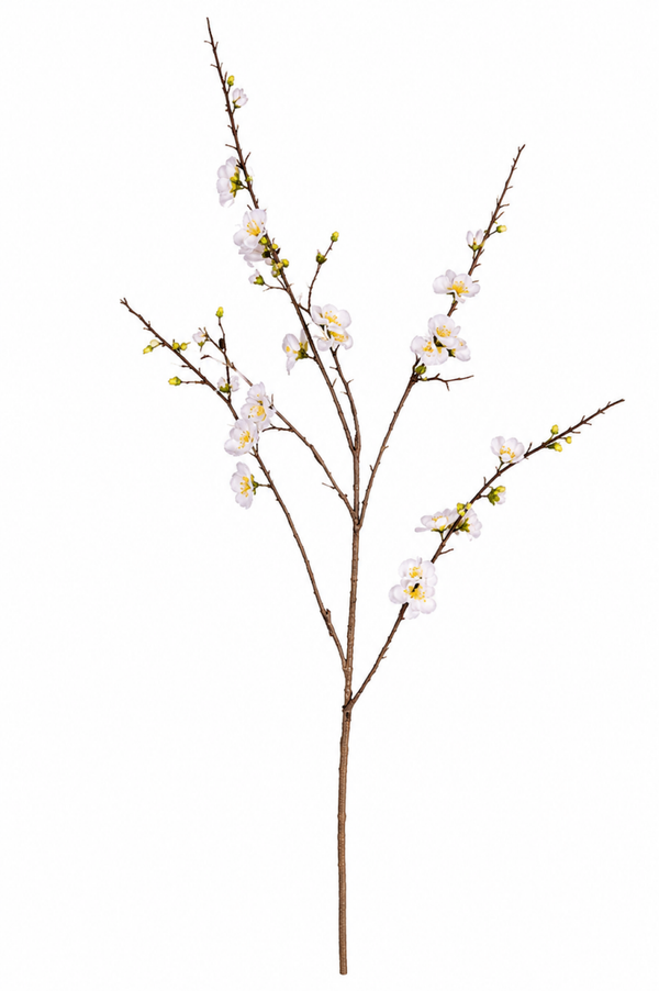 Kunst lente bloesem