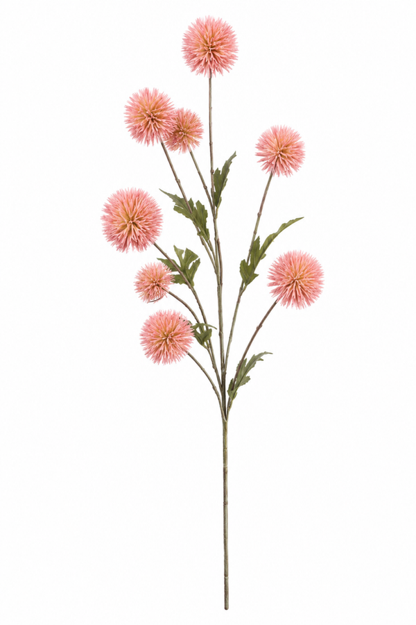Kunst Roze pompontak