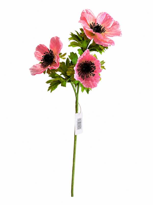 Kunst Anemone