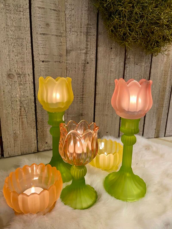 Tulpen tlichthouder set