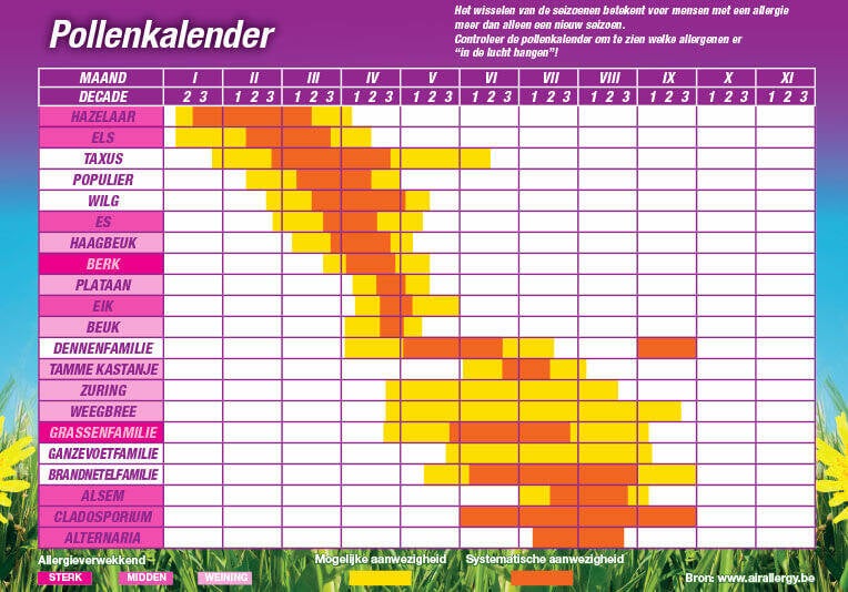 Pollenkalender_Hooikoorts