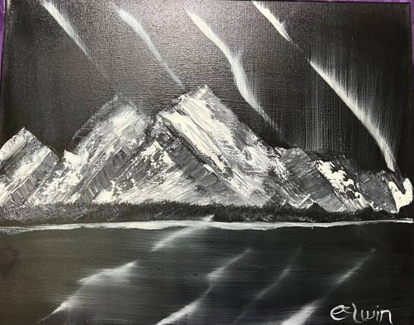 Black and White Northern Lights