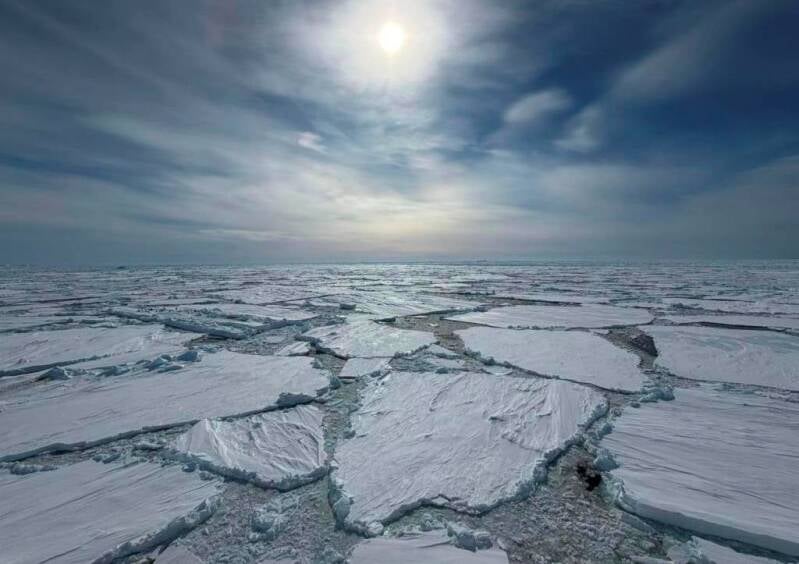 Photo prise en Antarctique par le groupe Shearwater.