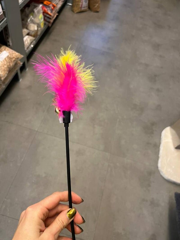 Blije Pootjes - Hengel