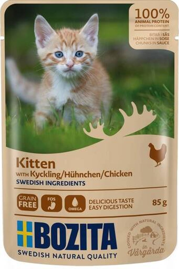 Bozita kitten