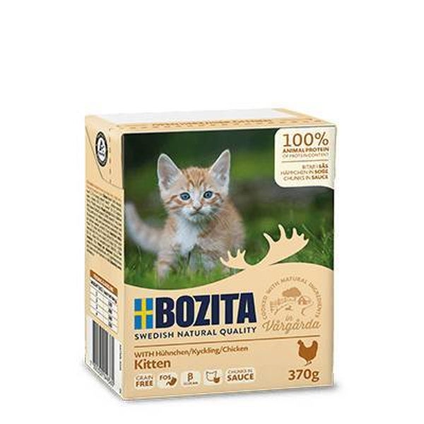 Bozita kitten