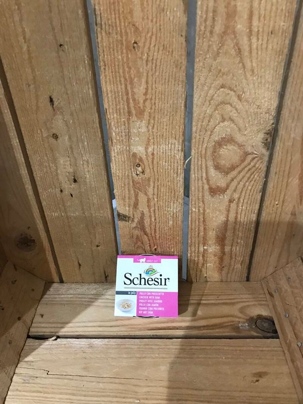 Schesir - tonijn ham
