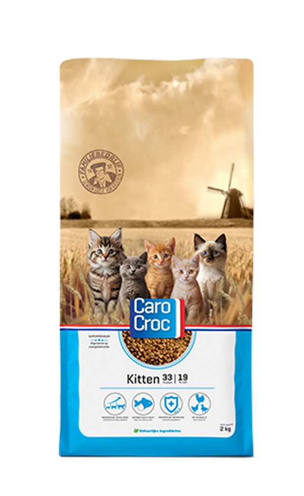 Carocroc -kitten