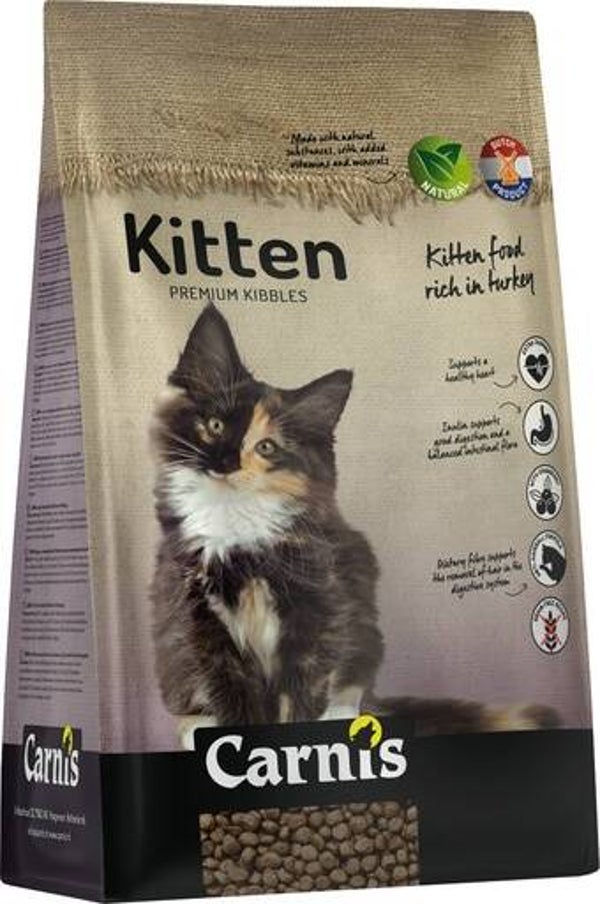 Carnis - kitten
