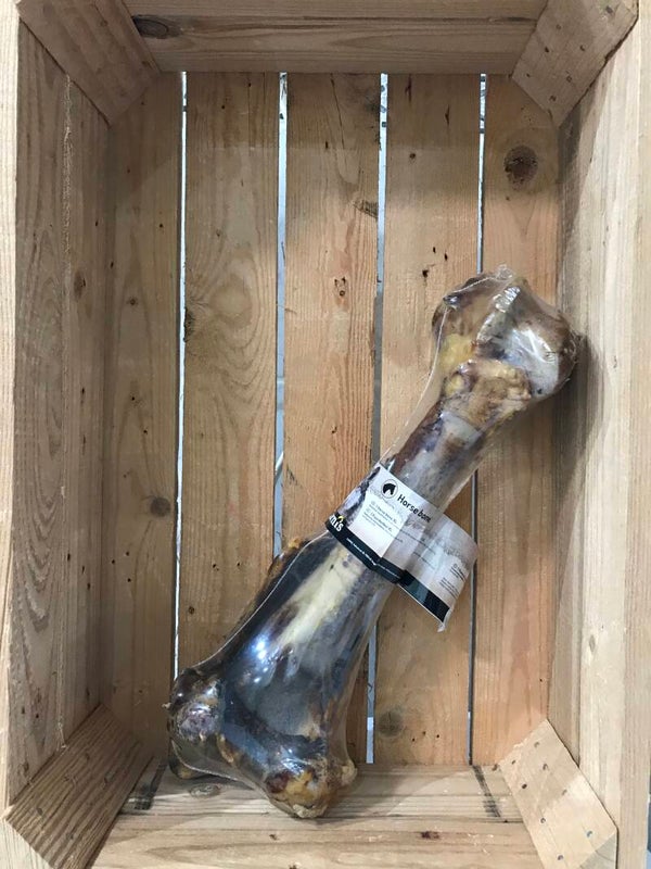 Carnis - Horse bone XL