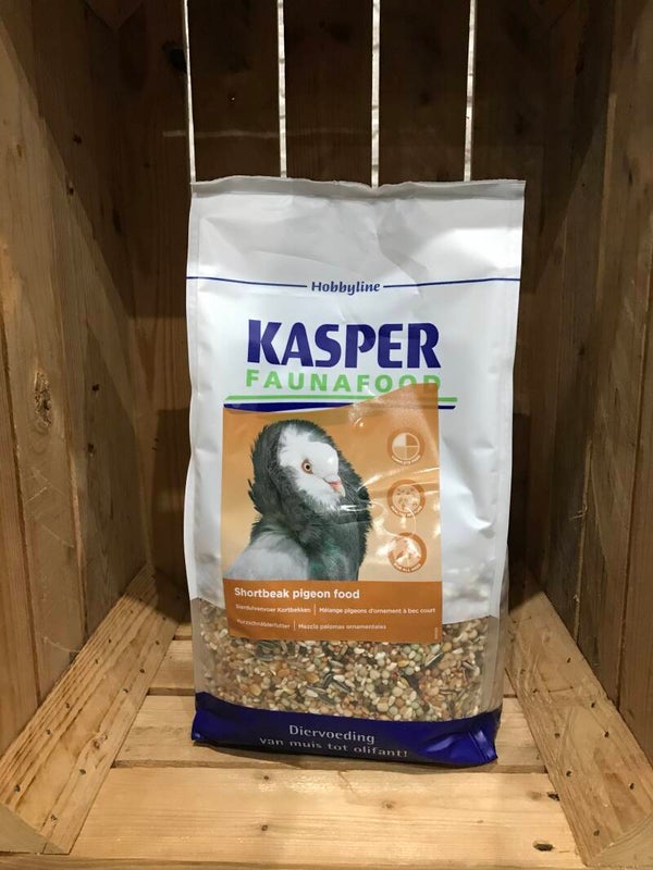 Tijssen - Shortbeak pigeon food