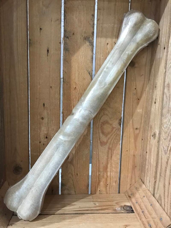 Nerus - kauwbeen - 51 cm