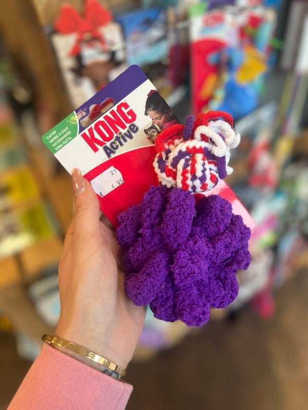 Kong - active catnip