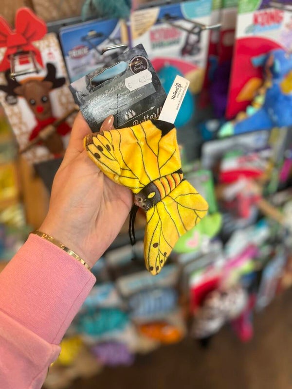 Holland animal care - butterfly catnip