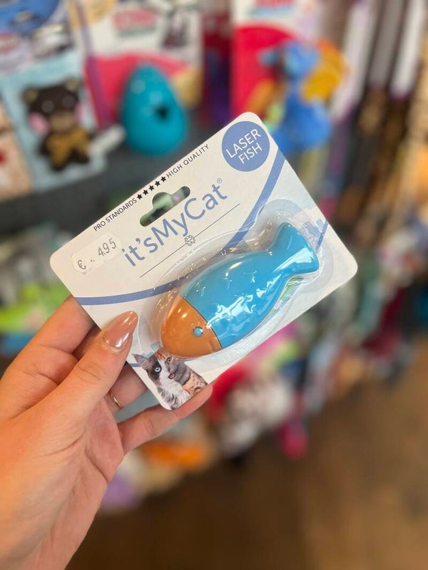 It's my cat - laser fish