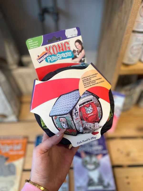Kong - play spaces catnip
