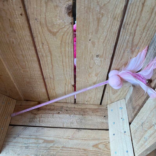 Blije Pootjes - Hengel