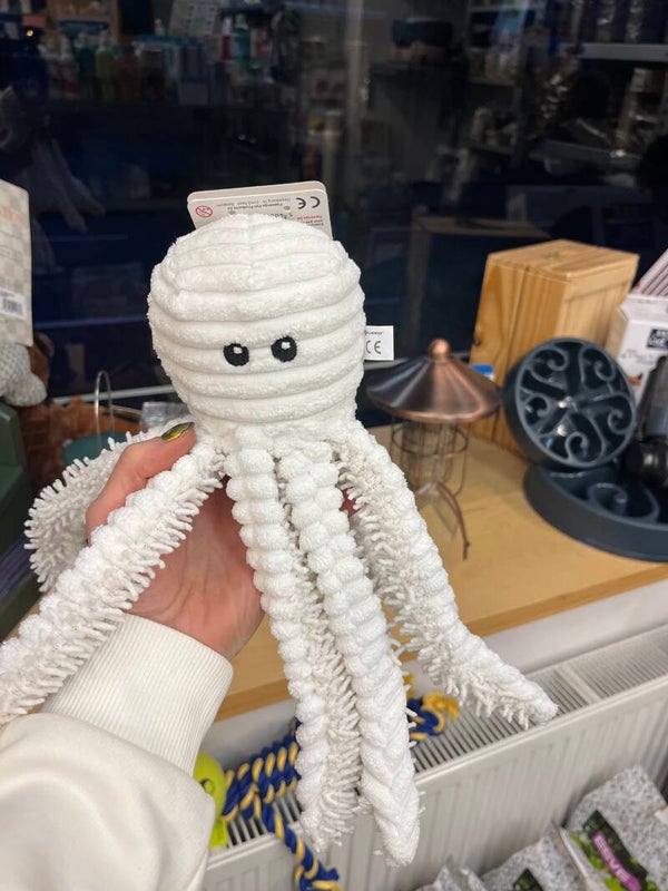 Octopus klein knispert