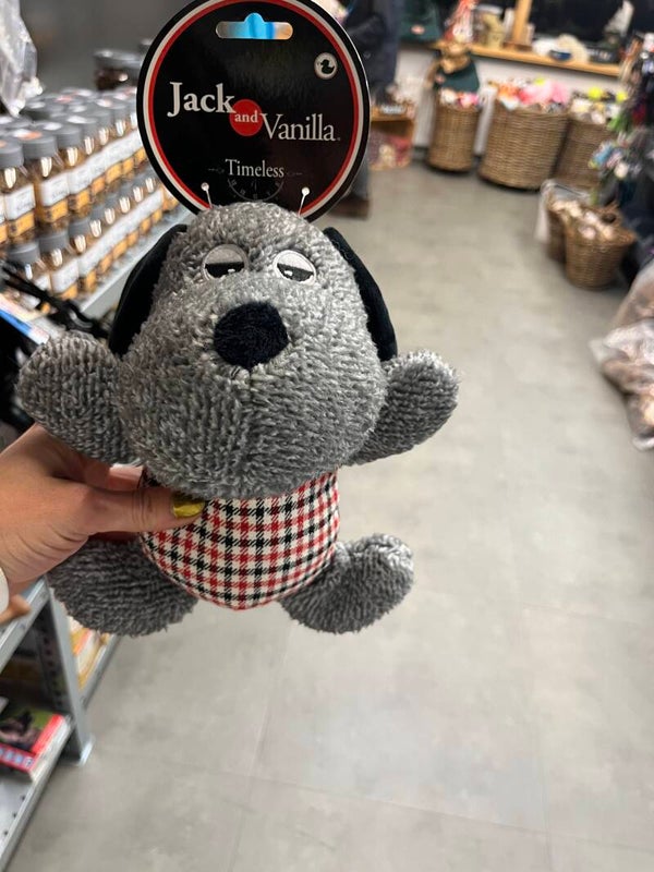 Jack and Vanilla - hond