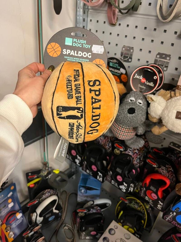 Jack and Vanilla - basketbal