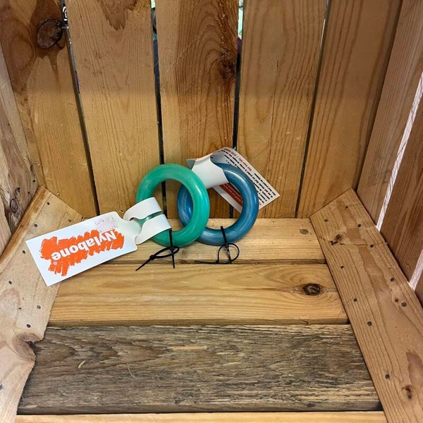 Nylabone - bijtring puppy