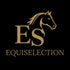 Equisélection