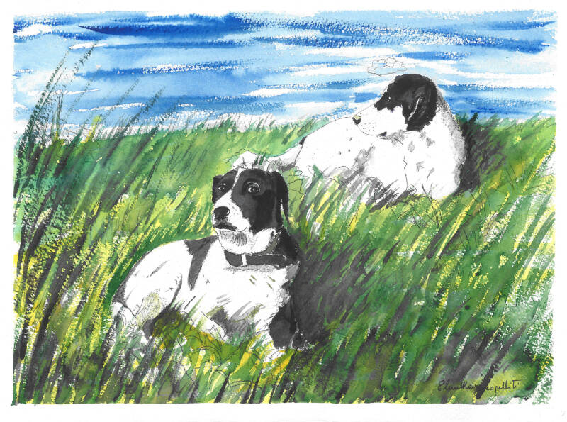 Acquerello, due splendidi cani sulla riva di un fiume (Sid e Ugo)