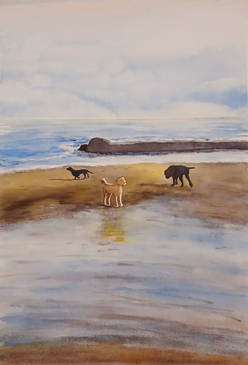 Acquerello, Miranda, Sandy e Wendy a Anzio (tre bellissime cagnoline sulla spiaggia)