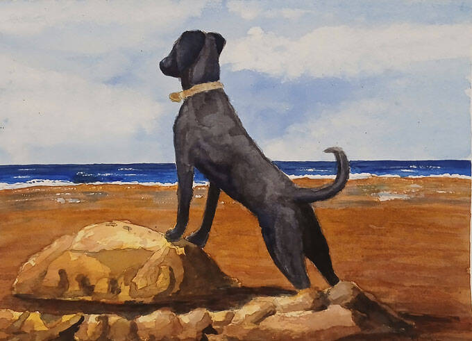 Acquerello, cane nero scruta il mare (2026)