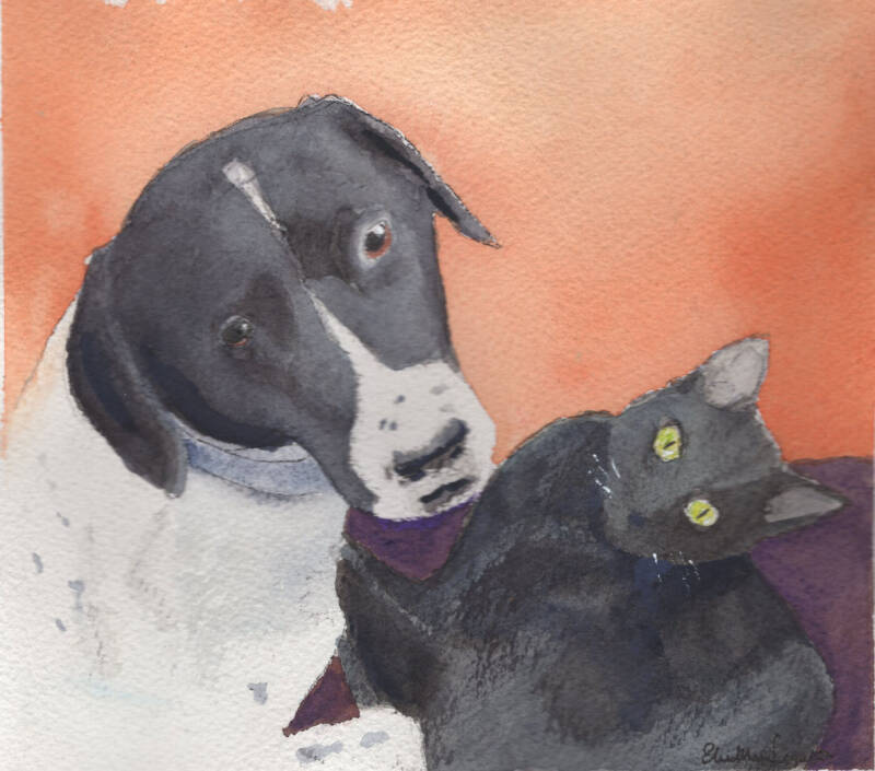 Acquerello, cane e gatto, "non è come pensi"