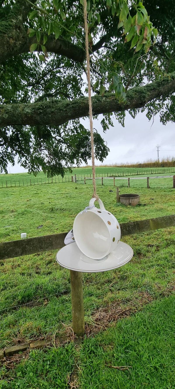 Cup'n Saucer Feeder