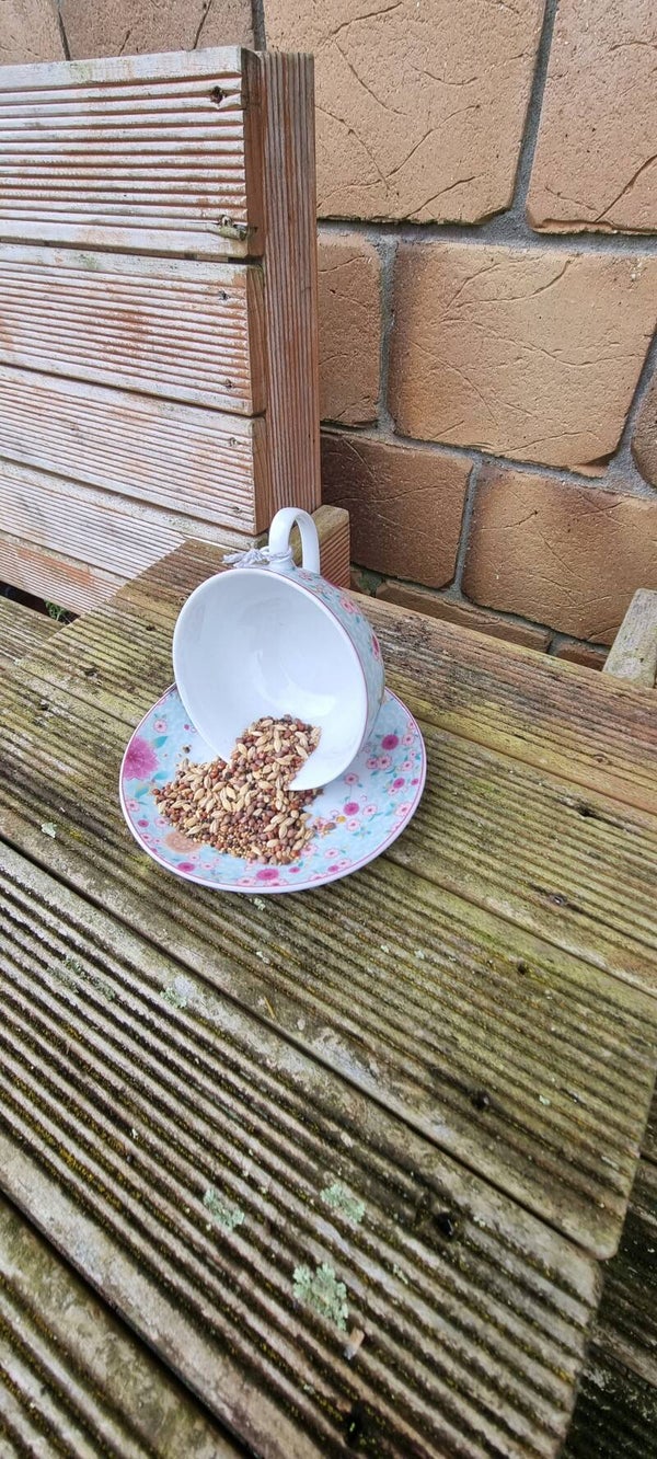 Cup'n Saucer Feeder