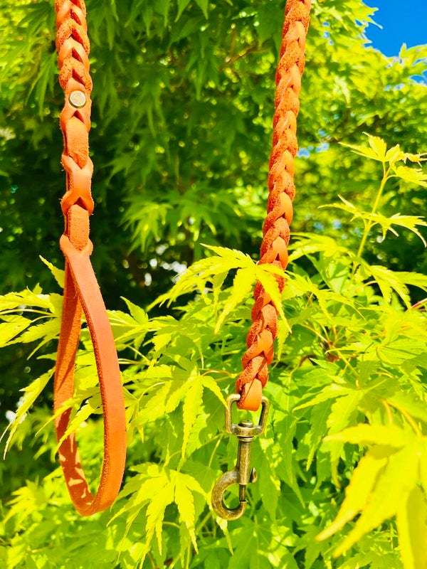 Geflochtene Lederleine