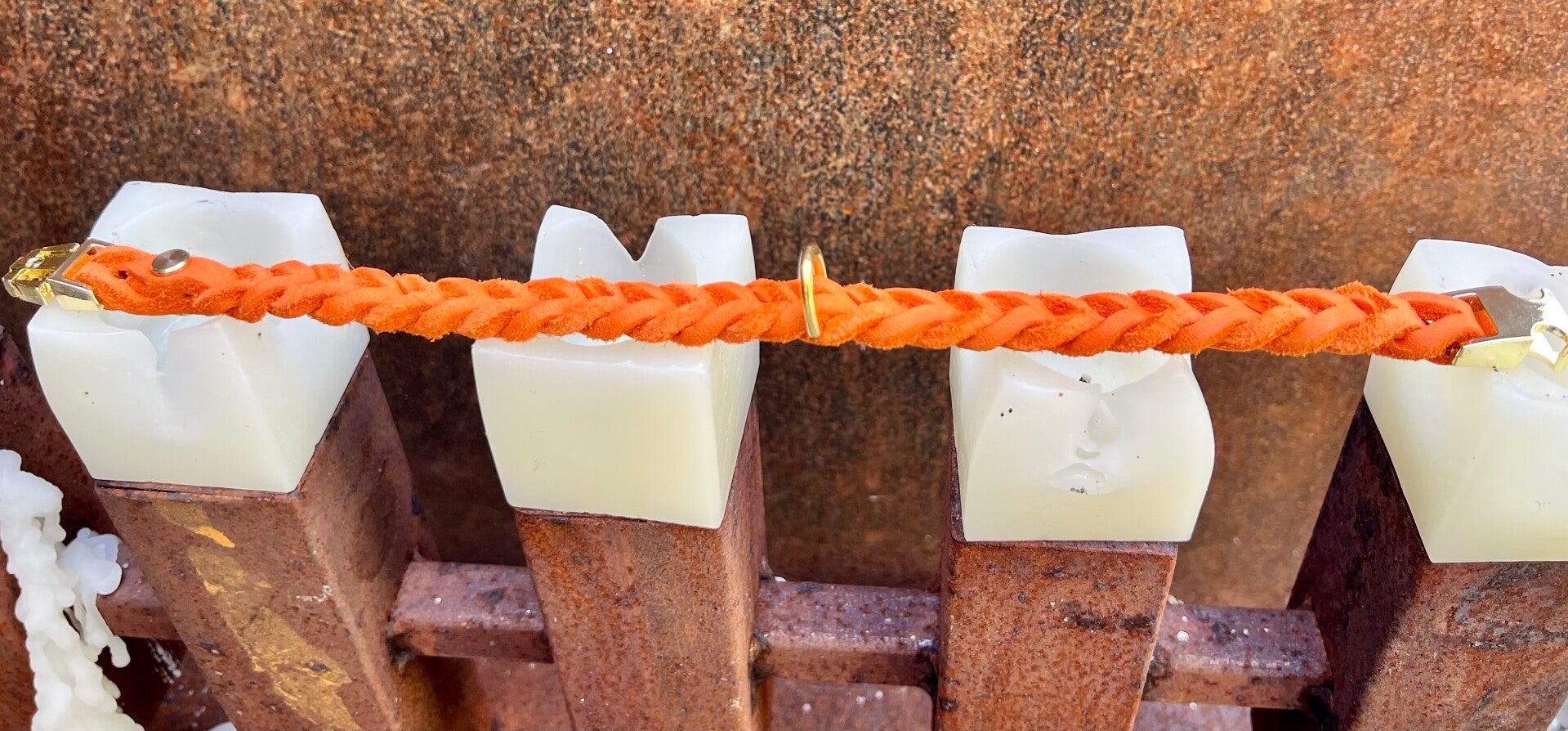 Halsband Orange für kleine Hunde