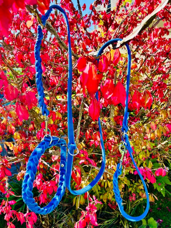 Leder Leine geflochten