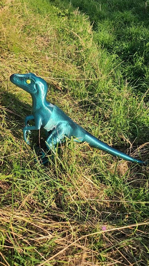 Raptor Dinosaurus