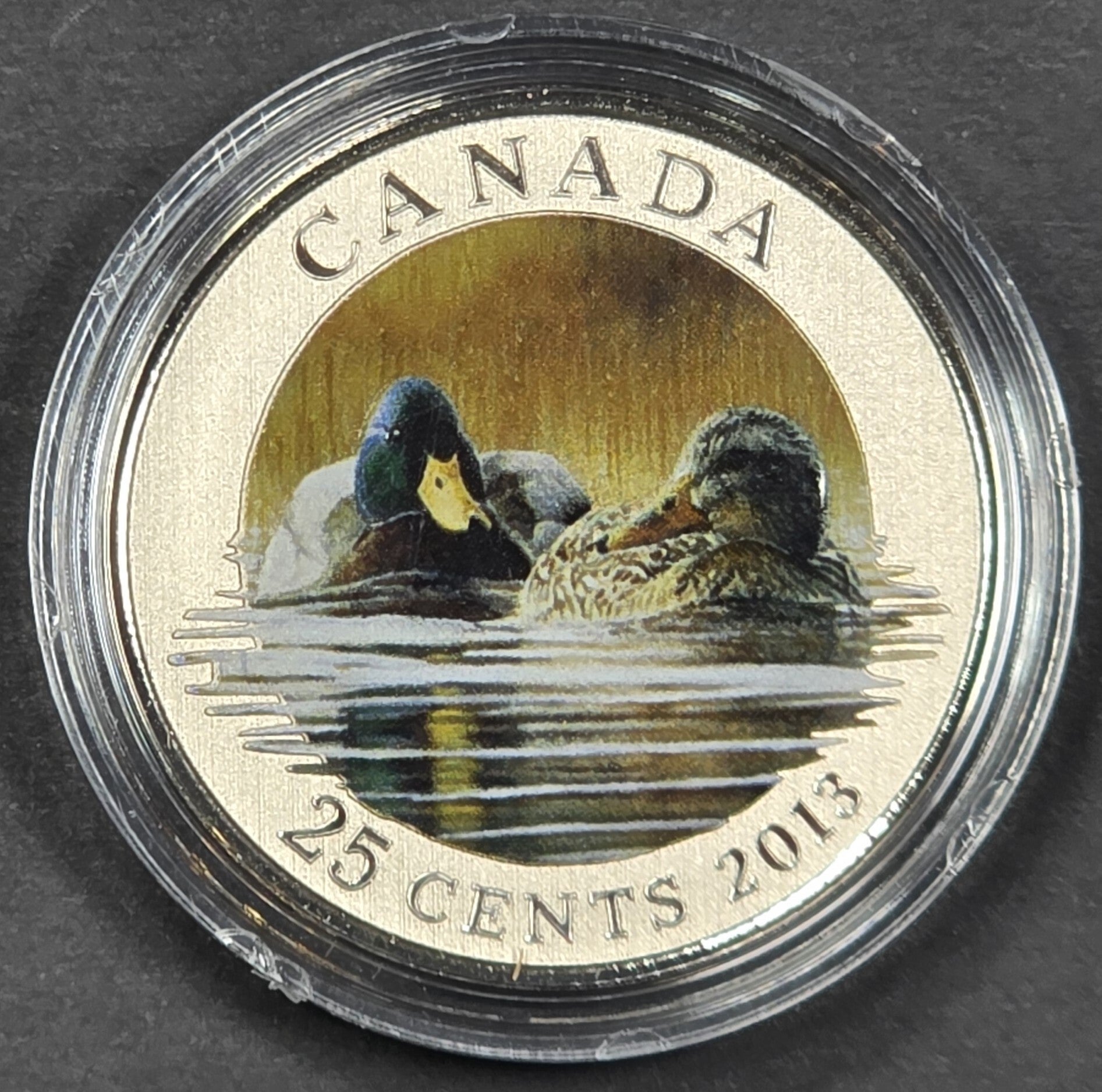 2013 Canada 25 Cents Colourized Mallard Ducks Coin – Royal Canadian Mint – Original Mint Case