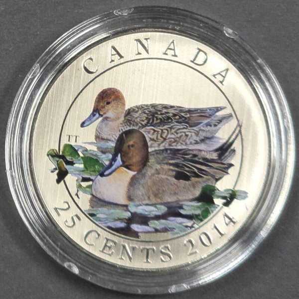 2014 Canada 25 Cents Colourized American Wigeon Coin – Royal Canadian Mint – Original Mint Case