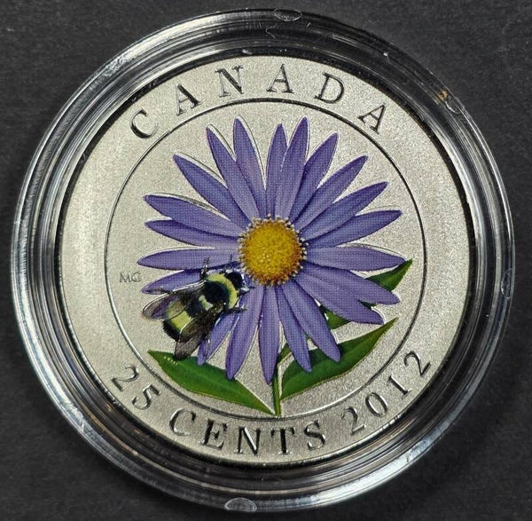 2012 Canada 25 Cents Coloured Aster with Bee Coin – Royal Canadian Mint Issue
