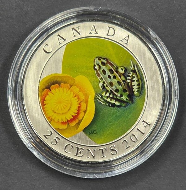 2014 Canada 25 Cents Colourized Frog Coin – Royal Canadian Mint – UNC in Capsule