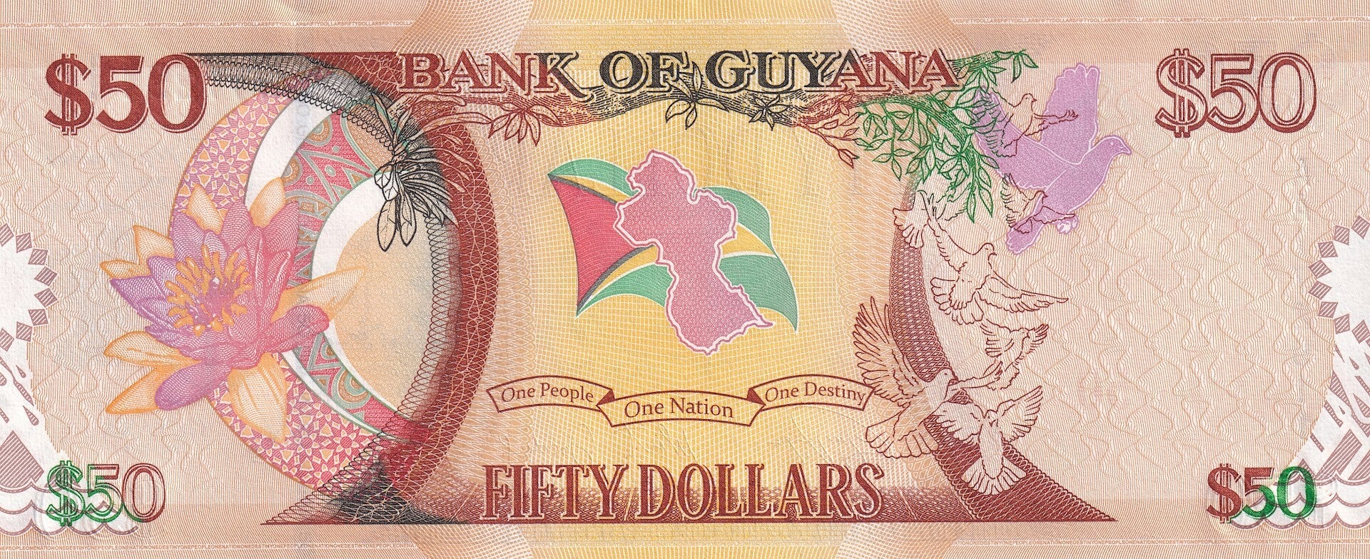 Guyana 50 Dollars 2016 – UNC Banknote | Bank of Guyana | 50th Independence Anniversary