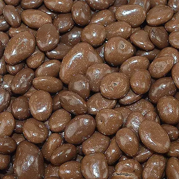 Chocolate Flavour Raisins 100G