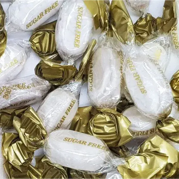 Sugar Free Chocolate Mints 75G